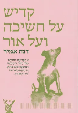 עטיפת הספר קדיש על חשיכה ועל אור מאת דנה אמיר