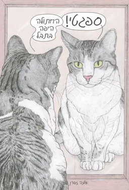 ספגטי! החתולה היפה בתבל 