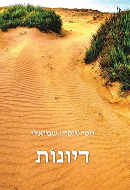 דיונות