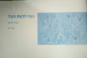נגה יודעת הכל
