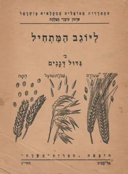 ליוגב המתחיל