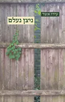 ניצן נעלם 