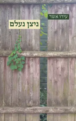 עטיפת הספר ניצן נעלם  מאת עידו אשד