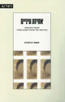 אחיזת עיניים