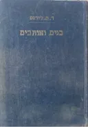 בנים ואוהבים (שני כרכים)