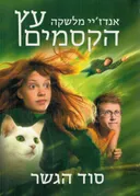 סוד הגשר