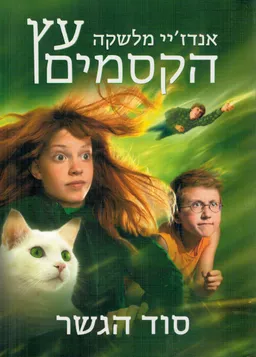 סוד הגשר