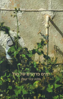 ימים פרועים של חול