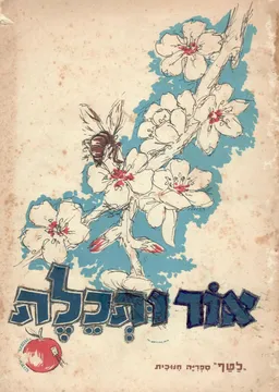 אור ותכלת