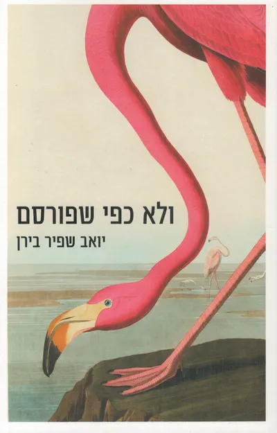 ולא כפי שפורסם : רומן