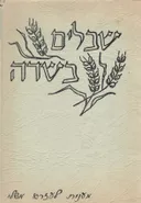 שבלים בשדה - מענית לעזרא משלי