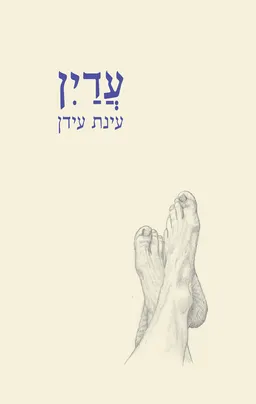 עדין