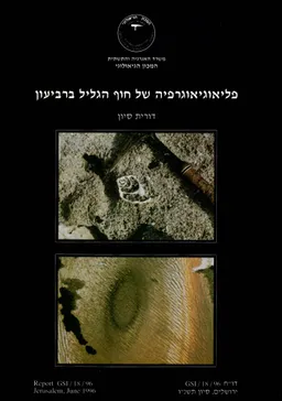 פליאוגיאוגרפיה של חוף הגליל ברביעון
