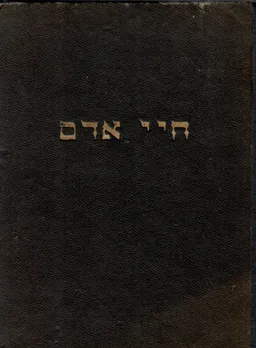 חיי אדם - כרך שני