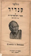 קנדיד או: ספר האופטימיות
