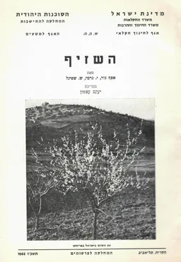 השזיף