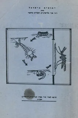 יתושים בישראל