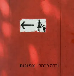 צפונות - צילומים 2012-2004