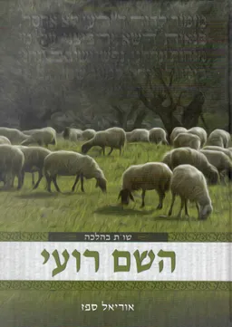 השם רועי - שו"ת בהלכה