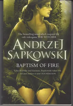 עטיפת הספר Baptism of Fire מאת Andrzej Sapkowski