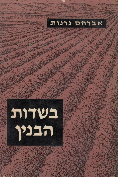 בשדות הבנין