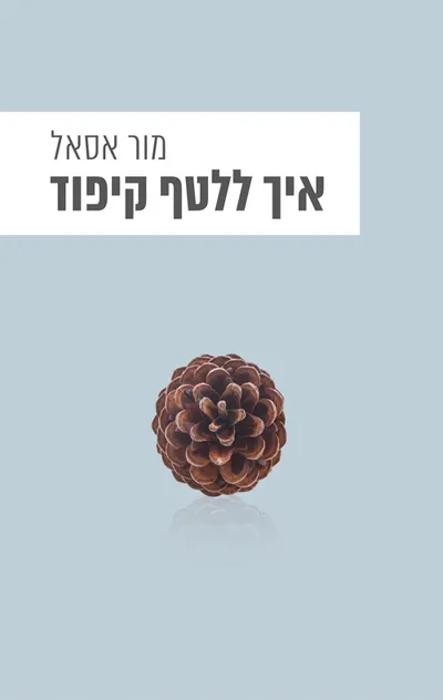 איך ללטף קיפוד