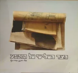 הצד השלישי של המטבע