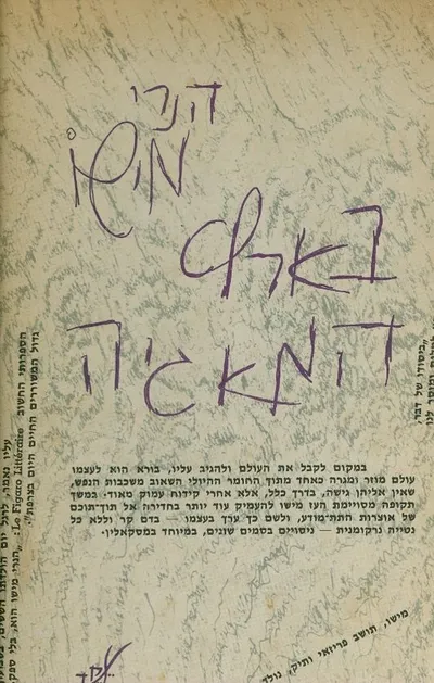 בארץ המאגיה