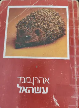 עטיפת הספר עשהאל מאת אהרן מגד
