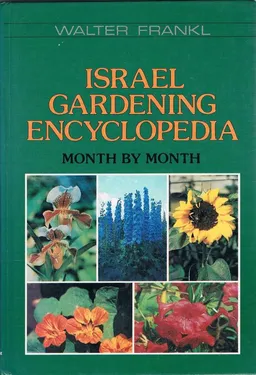 Israel gardening encyclopedia month by month