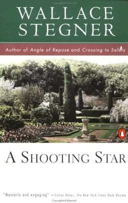 A shooting star