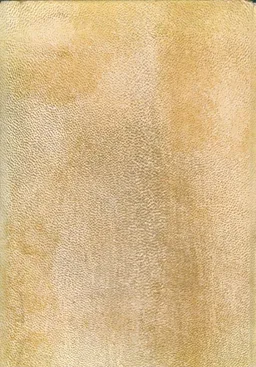 אפריקה המתעוררת