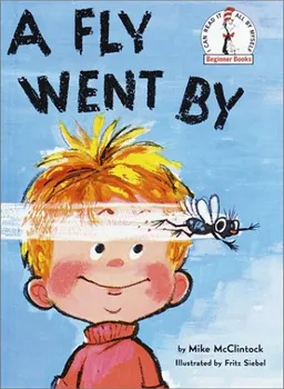 A fly went by