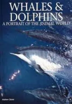 Whales and dolphins