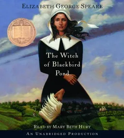 The witch of blackbird pond
