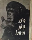 הלו, כאן חיות!