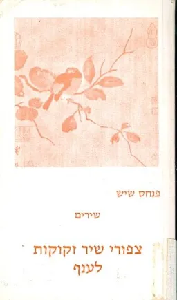 צפורי שיר זקוקות לענף