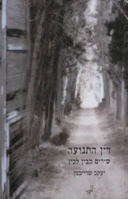 דין התנועה