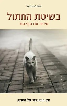 עטיפת בשיטת החתול