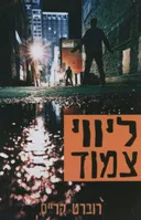 ליווי צמוד