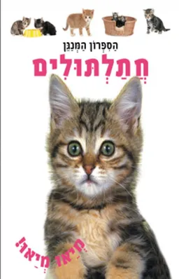 עטיפת הספר חתלתולים: הספרון המנגן מאת כללי 