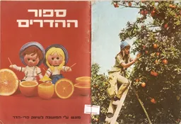 עטיפת הספר ספר ההדרים מאת מ. ברוזה