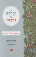 מה מברכים על גלידה? - חלק א׳