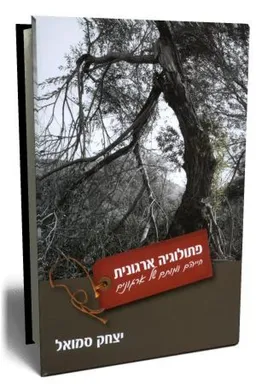 פתולוגיה ארגונית