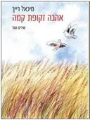 אהבה זקופת קמה 