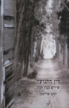 דין התנועה שירים מבין לבין