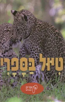 עטיפת הספר טיול בספרי מאת 