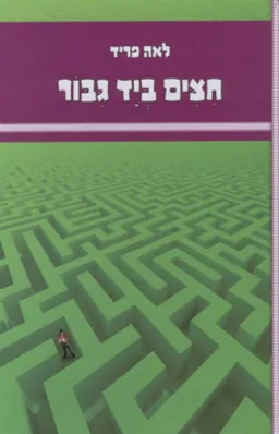 עטיפת הספר חצים ביד גיבור מאת לאה פריד
