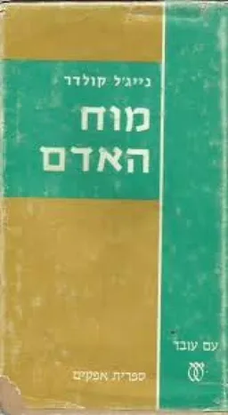 מוח האדם