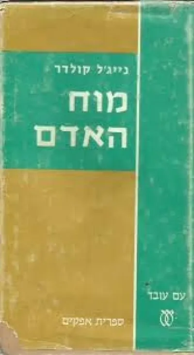מוח האדם